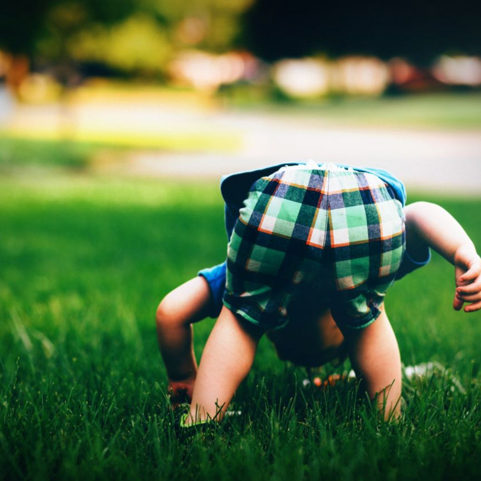 jordan-whitt-219692-1280